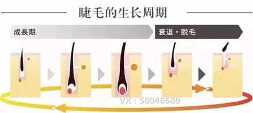 不嫁接、不種植,印度凱普絲careprost睫毛增長液,愛美女性必備!