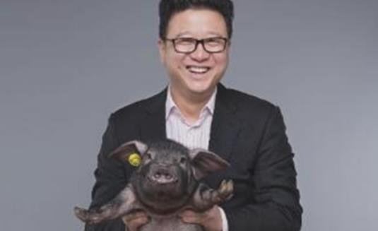 世界上最貴的豬 網(wǎng)易味央黑豬一頭賣出近11萬元高價