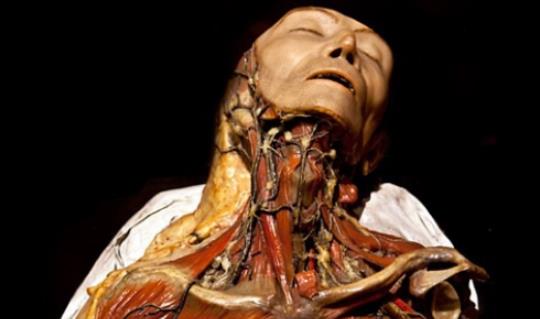 世界上最恐怖的博物館 存放畸形人遺體最多的馬特博物館