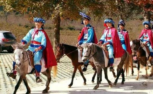 中國(guó)最矮的馬 廣西保德矮馬成熟體高為86—106厘米