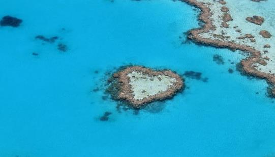 世界上最大的海 珊瑚海總面積達(dá)479.1萬(wàn)平方公里