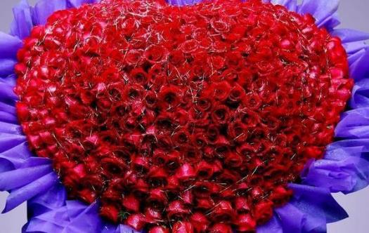 玫瑰花語:玫瑰花數(shù)量代表什么含義 玫瑰花語顏色代表什么寓意