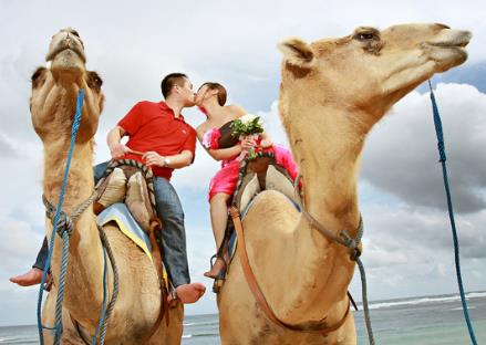 旅行結(jié)婚的具體流程及注意事項(xiàng)