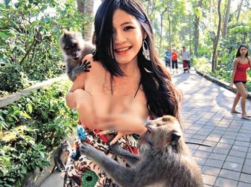 動(dòng)物也好色:喜歡非禮美女的好色動(dòng)物組圖