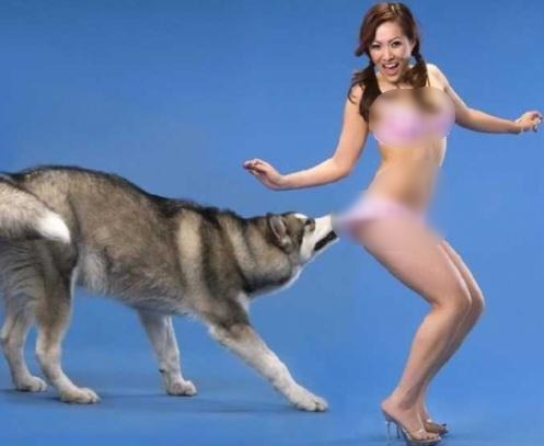 動(dòng)物也好色:喜歡非禮美女的好色動(dòng)物組圖