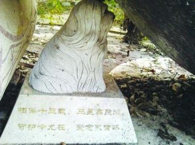 網(wǎng)曝紫金山麓現(xiàn)史上最貴“天價”狗墓,官方回應(yīng):狗墓系雕像遭業(yè)主曲解