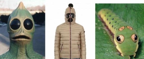 谷歌(Google)牌羽絨服Cosplay,實(shí)為頁(yè)面有Goggle字樣鬧烏龍