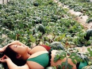 ?比比誰(shuí)種的西瓜大？大胸美女與西瓜的對(duì)比
