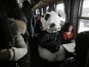 旅客穿熊貓玩偶服扮成大熊貓體驗春運遭圍觀