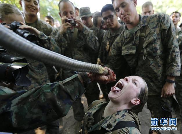 2013“金色眼鏡蛇”聯(lián)合軍演演習(xí),美軍士兵生吃眼鏡蛇血組圖