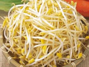 哺乳期吃黃豆芽有什么好處？哺乳期吃黃豆芽的做法