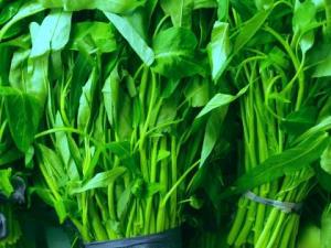產(chǎn)婦吃空心菜有什么好處？產(chǎn)婦吃空心菜的做法