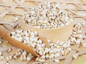 哺乳期能吃薏米嗎？哺乳期吃薏米有什么好處