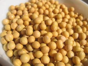 產(chǎn)婦能吃黃豆嗎？產(chǎn)婦吃黃豆的做法