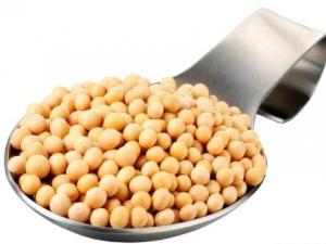哺乳期能吃黃豆？哺乳期吃黃豆的做法
