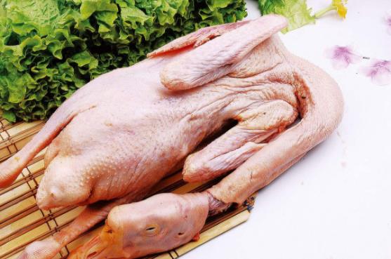 產(chǎn)婦坐月子能吃鵝肉嗎?坐月子吃鵝肉好不好