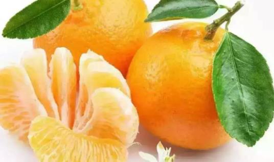 產(chǎn)后回奶要正確 這些正確的回奶方法介紹