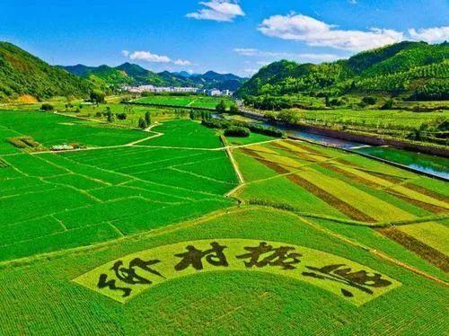 2021國(guó)家鄉(xiāng)村振興局正式掛牌!黨組成員有誰(shuí)?設(shè)有哪些機(jī)構(gòu)?