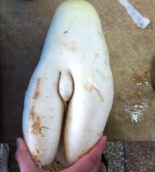 趕快拿布蓋上
