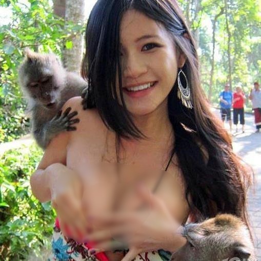 猴子也好色,印尼里島上有一位臺(tái)灣美女游客遭到了當(dāng)?shù)睾镒拥姆嵌Y,這只好色猴子竟然扯下臺(tái)灣女游客的胸部衣衫,真是大膽!