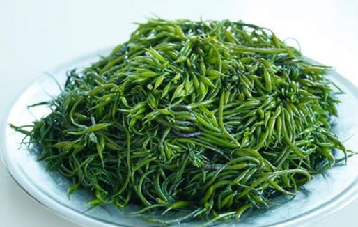 如何護(hù)理頭發(fā) 燙發(fā)的危害 簡單四步驟養(yǎng)護(hù)秀發(fā)