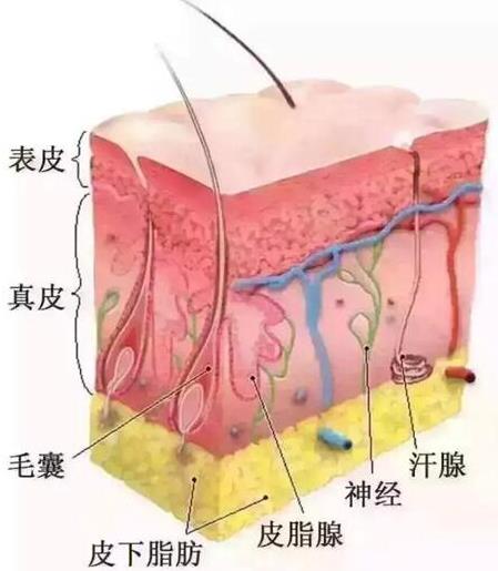 慈溪悅爾醫(yī)美專業(yè)嗎,脫發(fā)萬能大殺器——FUE植發(fā)了解一下