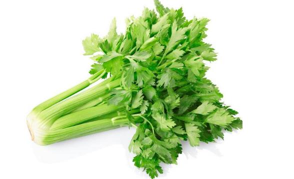 芹菜殺精
