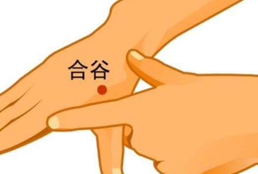 男性濕氣重怎么辦 飲食合理搭配輕松祛濕