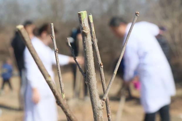 愛(ài)家園·享健康—鄭州博大男科醫(yī)院醫(yī)院植樹(shù)節(jié)活動(dòng)