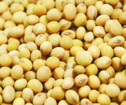 黃豆調(diào)理雌激素