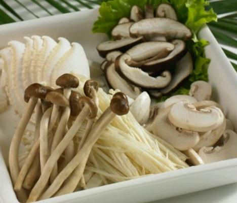 菌類調(diào)節(jié)免疫系統(tǒng)