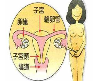 子宮切除會(huì)有什么并發(fā)癥?子宮切除要注意什么