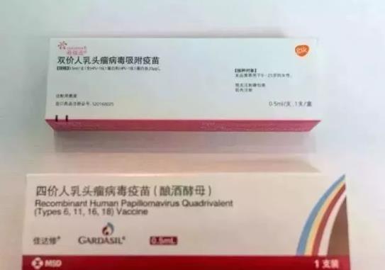 為什么沒人打二價疫苗?國產二價hpv與進口的區(qū)別是什么?