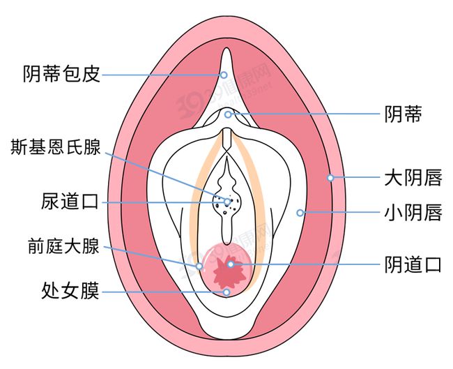 模型圖4.jpg