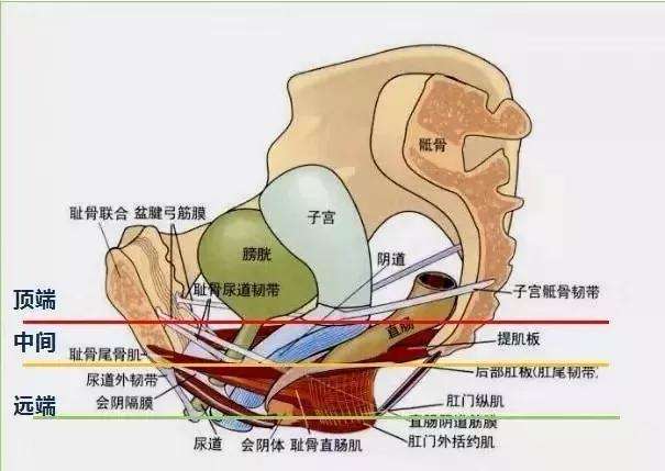 模型圖1.jpg