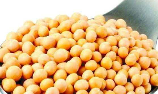 經(jīng)期是女性豐胸的最佳時期 推薦6種經(jīng)期豐胸食物