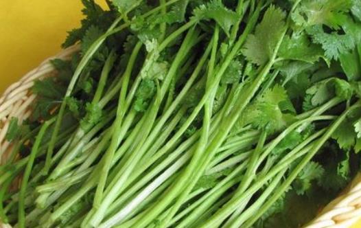 食物雖然不好聞但是營養(yǎng)價值卻驚人 女性應(yīng)多吃這5種難聞的食物