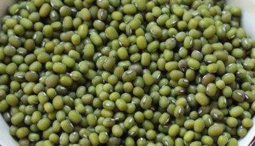 夏天容易上火 10種食物幫你降火