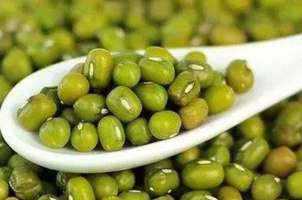 豆類的營養(yǎng)豐富 夏季女性適合多吃6種豆