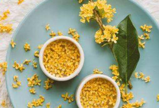 四款養(yǎng)生茶幫你暖胃養(yǎng)顏 每種花茶都有其很好的療效