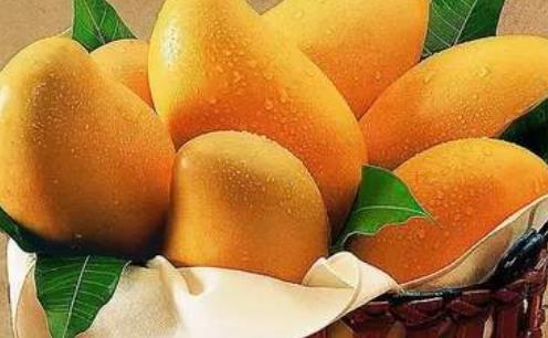 很多人開始學(xué)會養(yǎng)生 時令蔬果的食用禁忌
