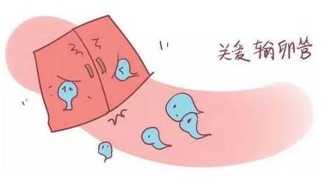 治療輸卵管炎的偏方