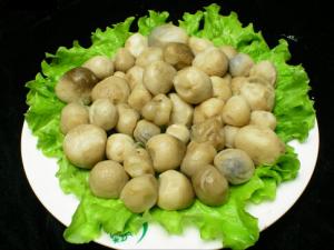 草菇怎么做營養(yǎng)好吃？草菇的做法