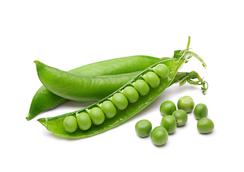 豌豆的營養(yǎng)價(jià)值-豌豆的做法