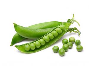 豌豆的營養(yǎng)價(jià)值-豌豆的做法