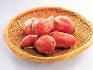 紅薯發(fā)芽了還能吃嗎？紅薯的營養(yǎng)價(jià)值