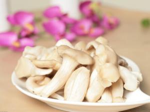 平菇的適宜人群與營(yíng)養(yǎng)-平菇怎么做好吃？