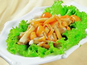 滑子菇豆腐羹的做法-滑子菇的營養(yǎng)價值