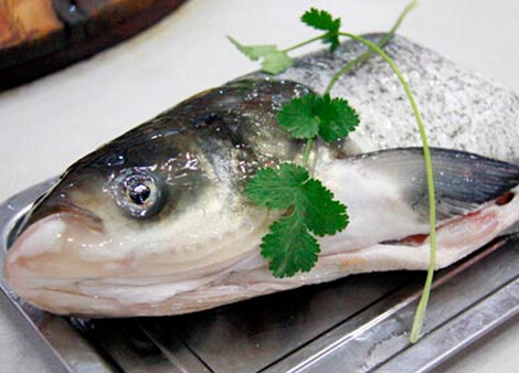 食用青根魚的注意事項-青根魚的營養(yǎng)價值