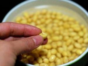 發(fā)芽豆還可以用嗎？發(fā)芽豆打豆?jié){更鮮美